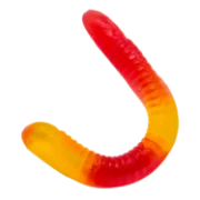 Gummy Worm